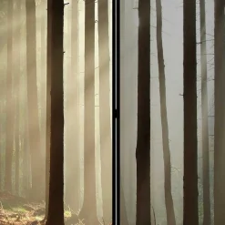 Leinwand Paravent mit Naturmotiv Wald - Nadiola