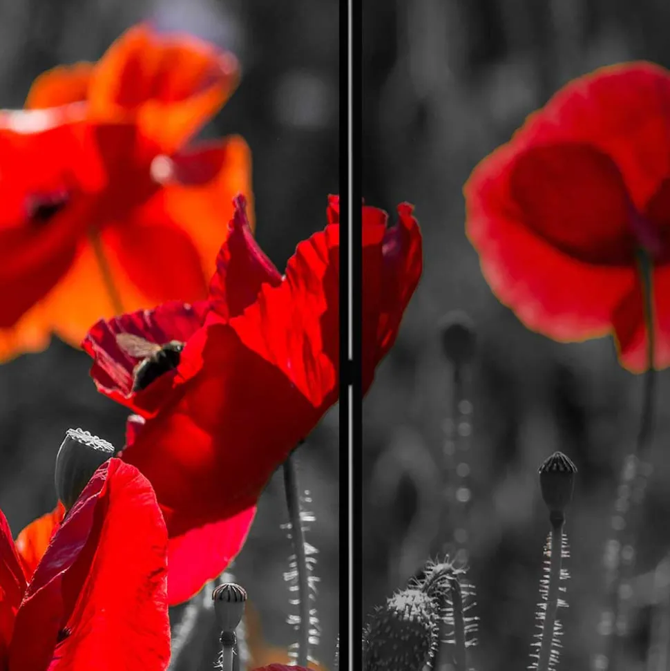 Mobiler Foto Raumtrenner mit Mohn Blumen Motiv - Conwy