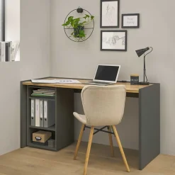 Office Schreibtisch & Regal - Ahilav (zweiteilig)