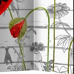 Paravent Klatschmohn & Kornblume - Aschau