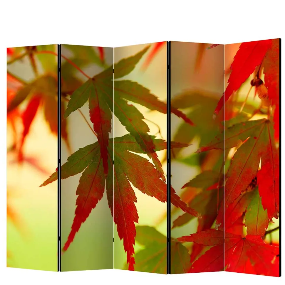 Paravent mit Fotodruck Fächerahorn Blätter - Kasaryn