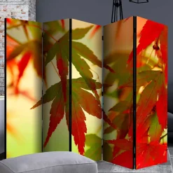 Paravent mit Fotodruck Fächerahorn Blätter - Kasaryn
