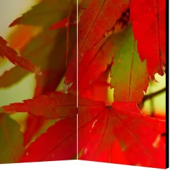 Paravent mit Fotodruck Fächerahorn Blätter - Kasaryn