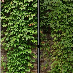 Paravent mit Mauer & Ranke Wilder Wein - Letona