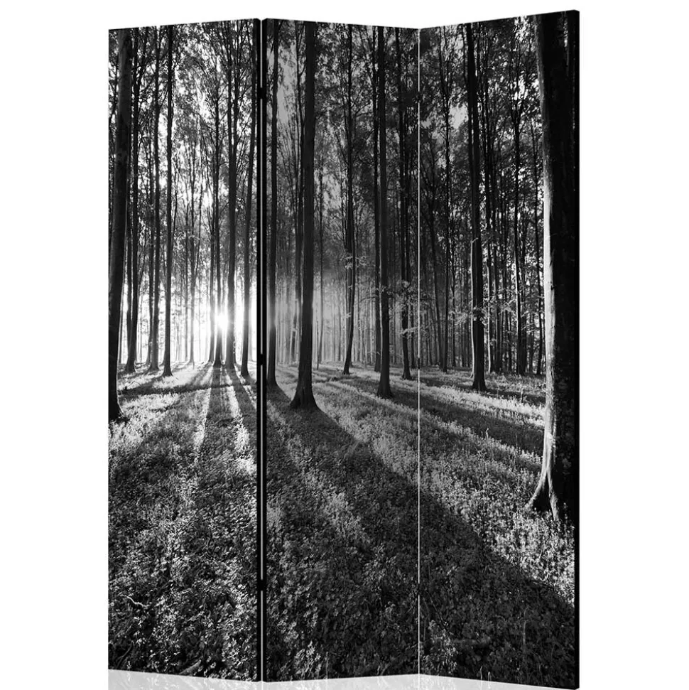 Paravent mit Schwarz-Weiss Druck Wald - Norte
