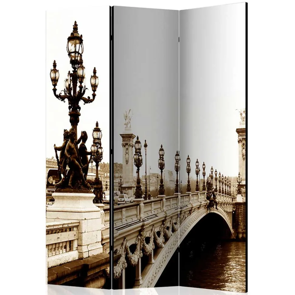 Paravent Raumtrenner mit Schwarzweiß Fotodruck - Charon