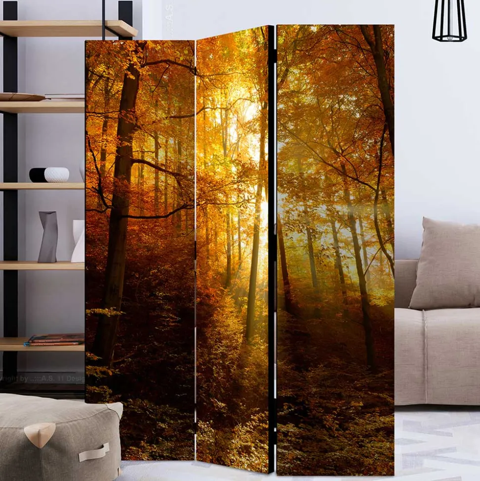 Paravent Trennwand Wald in Herbststimmung - Jemja