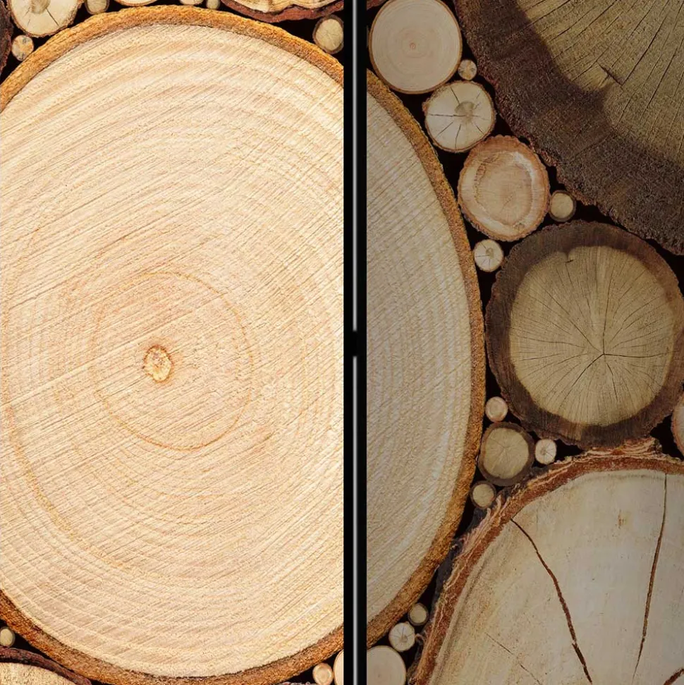 Raumteiler mit Fotodruck Baumscheiben - Siska