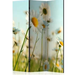 Raumteiler Paravent mit Foto Gänseblümchen - Lipari