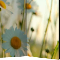 Raumteiler Paravent mit Foto Gänseblümchen - Lipari