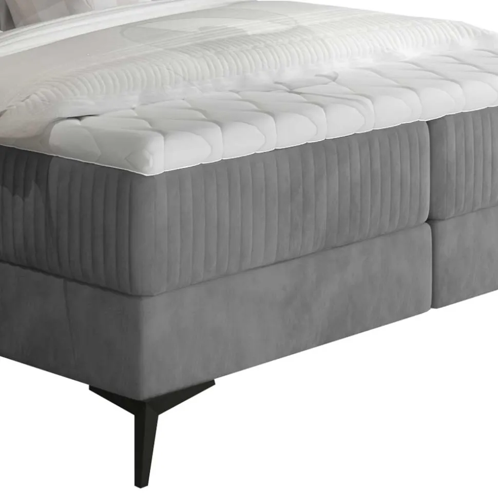 Samt-Polsterbett in Grau mit Matratzen - Breyan
