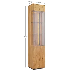 Schlanke Vitrine mit LED Beleuchtung - Cocondar