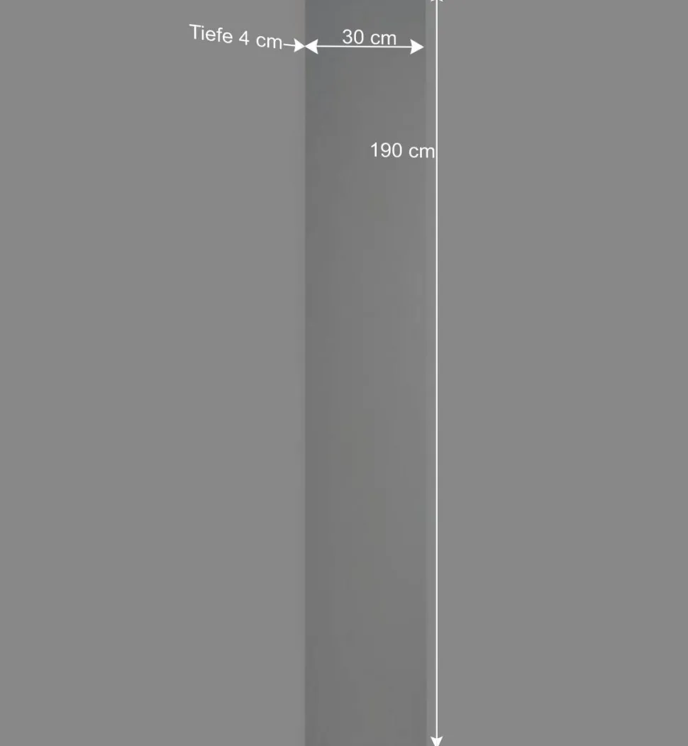 Schmaler Wandspiegel ohne Rahmen - Avidora