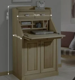 Schrank mit Schreibklappe in Eichefarben - Matss