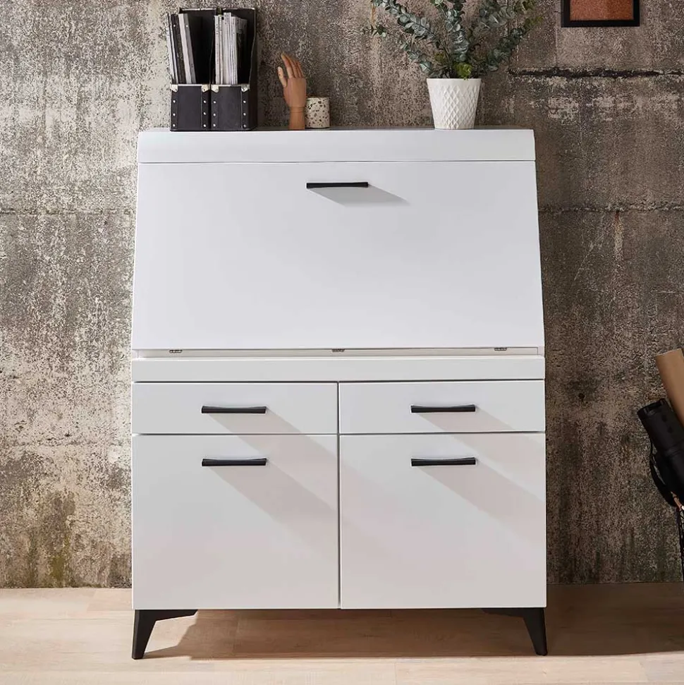 Schreibschrank mit Klappe & zwei Türen - Quakes