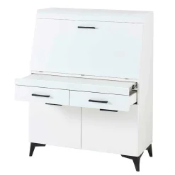 Schreibschrank mit Klappe & zwei Türen - Quakes