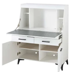 Schreibschrank mit Klappe & zwei Türen - Quakes