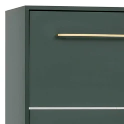 Schuhschrank in Dunkelgrün & Gold - Aqua