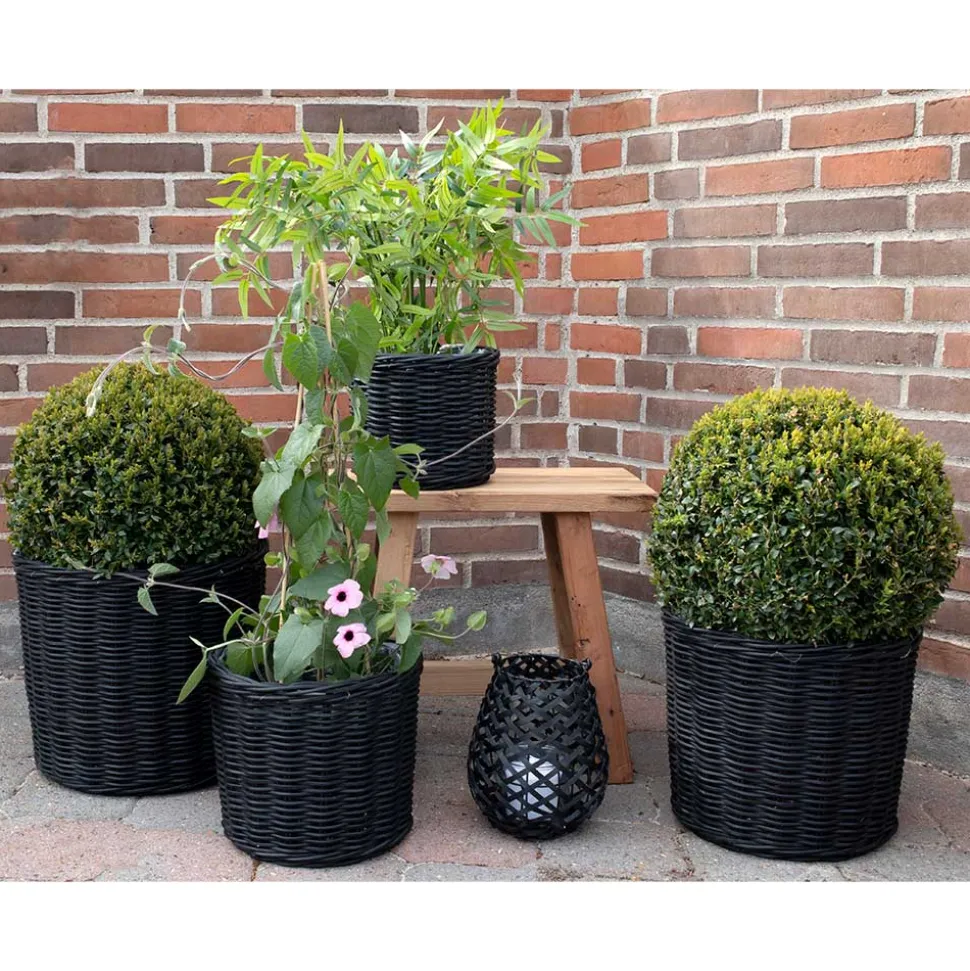 Schwarze Körbe aus Rattan Geflecht - Swan (vierteilig)