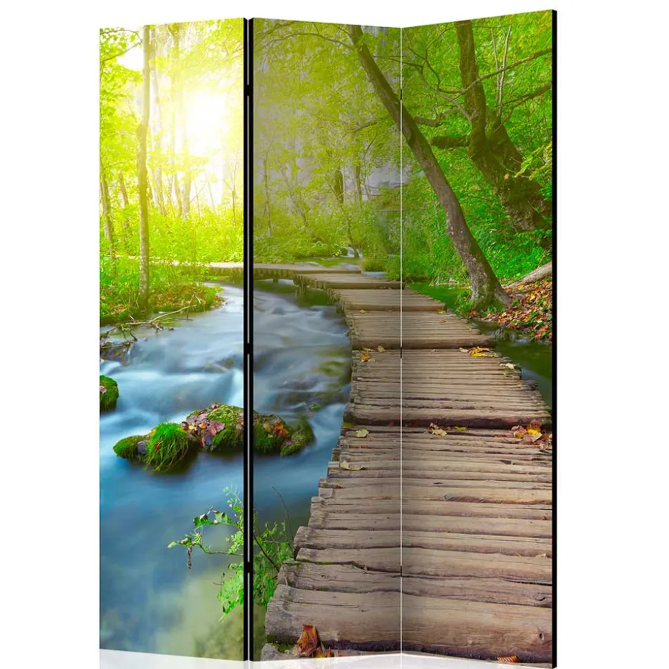 Spanische Wand mit Foto Wald Wasser & Holzweg - Musena