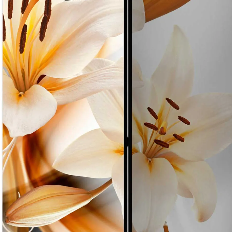 Spanische Wand Raumteiler zum Falten - Lobben