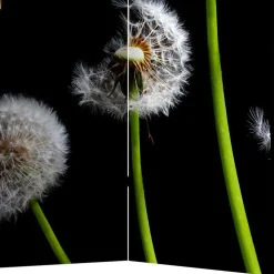 Spanischer Raumteiler mit Pusteblumen Foto - Hocumola