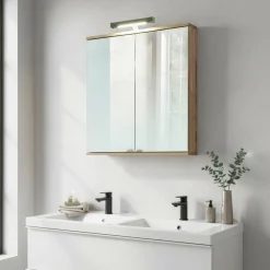 2-türiger Bad-Spiegelschrank 60x71 cm - Dilvonda