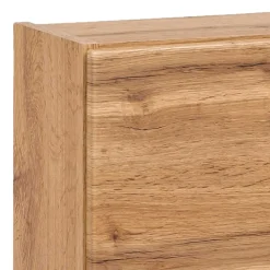 1-türiger Hängeschrank in Wildeiche Dekor - Iliam