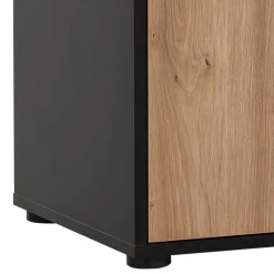 1-türiger Officeschrank in modernem Design - Evasilica