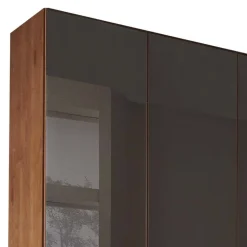 6-türiger Schrank mit Glas Dunkelbraun - Hung