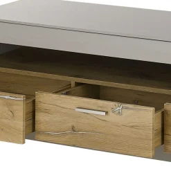 TV Lowboard in Hellgrau & Zinneiche NB - Lioscas