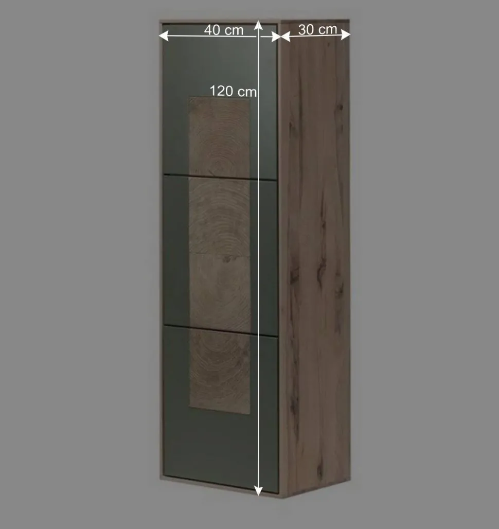 Wohnraum Hängeschrank zweifarbig - Ajevos