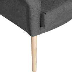 Wohnzimmer Polstersessel in Dunkelgrau - Rubin