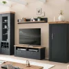 Wohnzimmermöbel TV Anbauwand Set - Lionel (vierteilig)