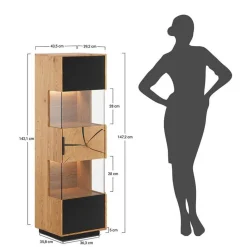 Wohnzimmerschrank aus Eiche und Glas - Masicuri