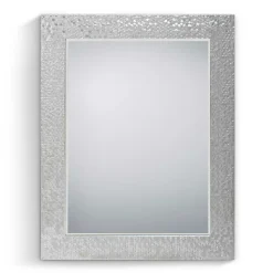 55x70 Spiegel mit breitem Rahmen in Silber - Tunapuna
