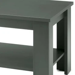 120x60 Wohnzimmertisch in Dunkelgrün - Niestov