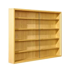 80x60x10 cm Hängevitrine Sammelvitrine 2-türig - Grands