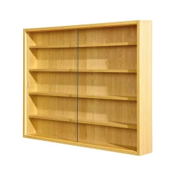 80x60x10 cm Hängevitrine Sammelvitrine 2-türig - Grands