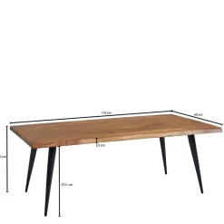 110x40x60 Couchtisch aus Sheesham Massivholz - Placer