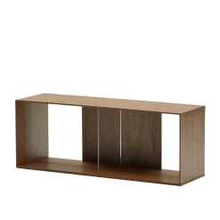 101x38x30 Regel Element in Nussbaum Furnier - Lician