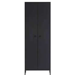 60x170x33 2-türiger Schuhschrank in Schwarz - Anderian