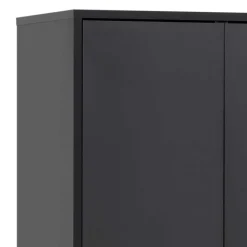 60x170x33 2-türiger Schuhschrank in Schwarz - Anderian