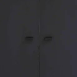 60x170x33 2-türiger Schuhschrank in Schwarz - Anderian