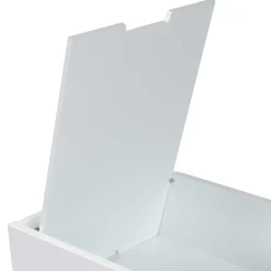 56x58x34 Truhe Kommode mit Klappe - Esmail