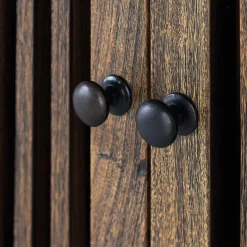 100x160x45 Wohnzimmerschrank mit zwei Türen - Charin