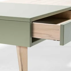 Zweifarbiger Wohnzimmertisch mit Stauraum - Ajevos